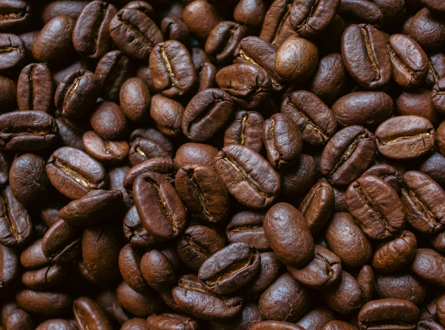 Coffee Export and Packaging Process